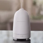 New products 2019 electric small bottle usb aroma diffuser