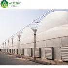 Multi-span Poly film agriculture greenhouse for flower,vegetables