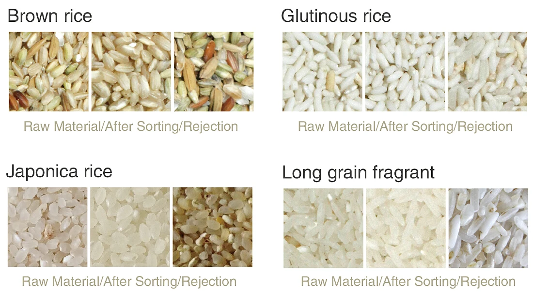 1. Brown rice.jpg