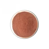 /product-detail/wholesale-reishi-mushroom-extract-powder-ganoderma-lucidum-extract-reishi-mushroom-capsules-60779788775.html