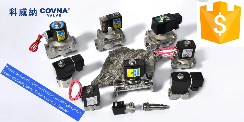 water solenoid valve 24v