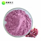 Pure Natural Concentrate Spray Drying Seedless Grape Fruit Juice Powder