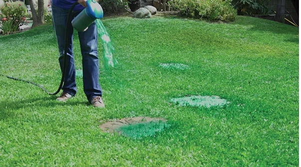Seed sprayer-4.png