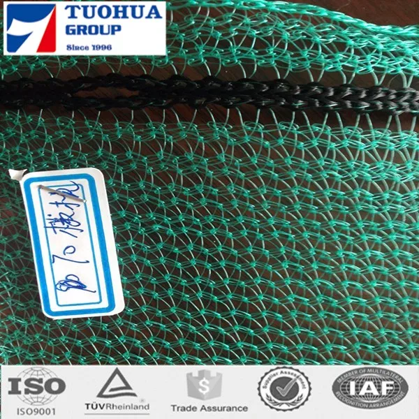 olive net 6_.jpg