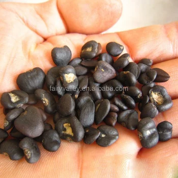 High Purity Lily Magnolia Seeds Mulan Tree Seeds For Growing - Buy Lily