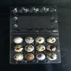 clamshell quail egg blister plastic PVC PET hot selling 12 cell plastic quail egg box