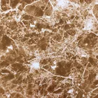Spray Material activator paint Material water transfer hydrographics film IVS6893-4