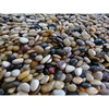 /product-detail/landscaping-pebbles-mix-color-polished-pebble-stone-60498934784.html