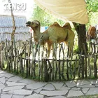 Statue Animal Lifelike Camel Statues Animal Robot For Sale