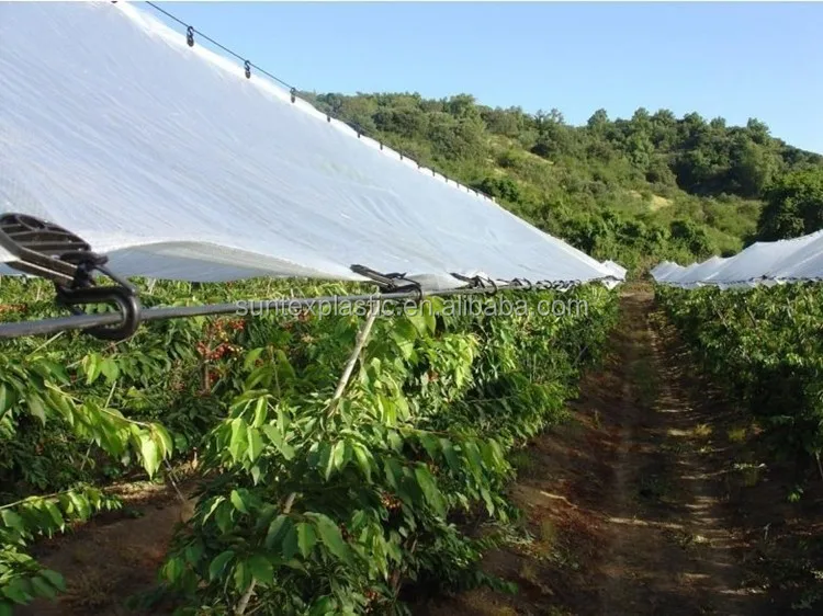 Hdpe Vegetable/agricultural/greenhouse Woven Plastic Film,Cherry/grape
