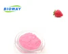Fresh Pure Natural Juice Powder Strawberry Flavour Powder