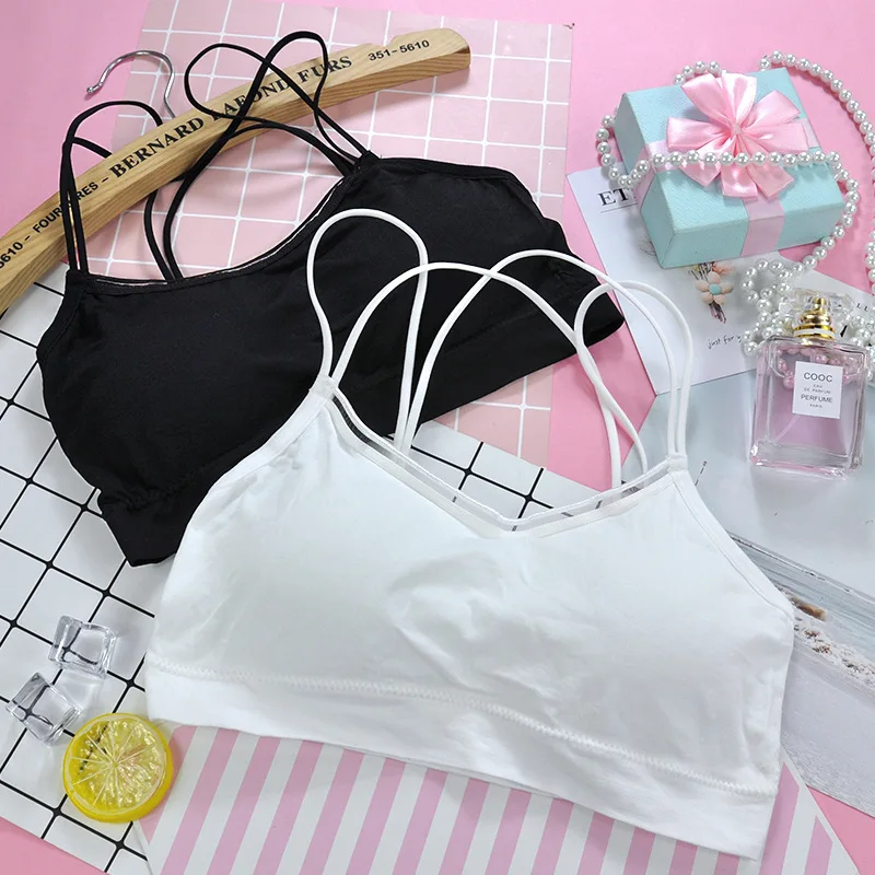 4684594466_1176988226