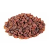 DT-SD-012 dry food /raisins dried grape/dry fruits best price