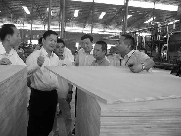 film faced plywood|shuttering plywood|forwork plywood|concrete plywood