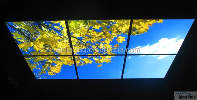 Led Sky Ceiling Panel Light For Showroom And Presentation Buy Sky Ceiling Panel Light Sky Ceiling Panel Light Product On Alibaba Com