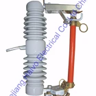 Fuse Switch Fuse 12kv-15kv High Voltage Fuse Cutout Switch With Best Parts