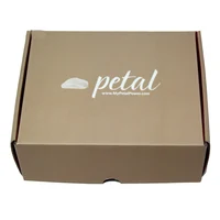 Custom Logo Printed Small Corrugated Packaging