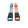 2018 New Design Top Paws And Heart Growing In Dark Print Luminous Nylon Led Dog Collar