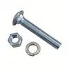 China supplier sales 304 carriage bolt and nut