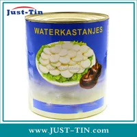 canned water chestnut slice