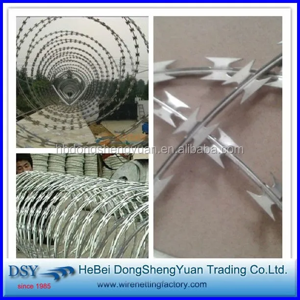 razor barded wire mesh