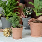 Pot Plant Pot Plant Pot Round Conical Colored Cement Flower Pot With Saucer Terracotta Color For Green Plant Home Deco