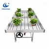 Modern Bench Hydroponic ABS Ebb Flow Rolling Table Bench with flood plastic tray seeding