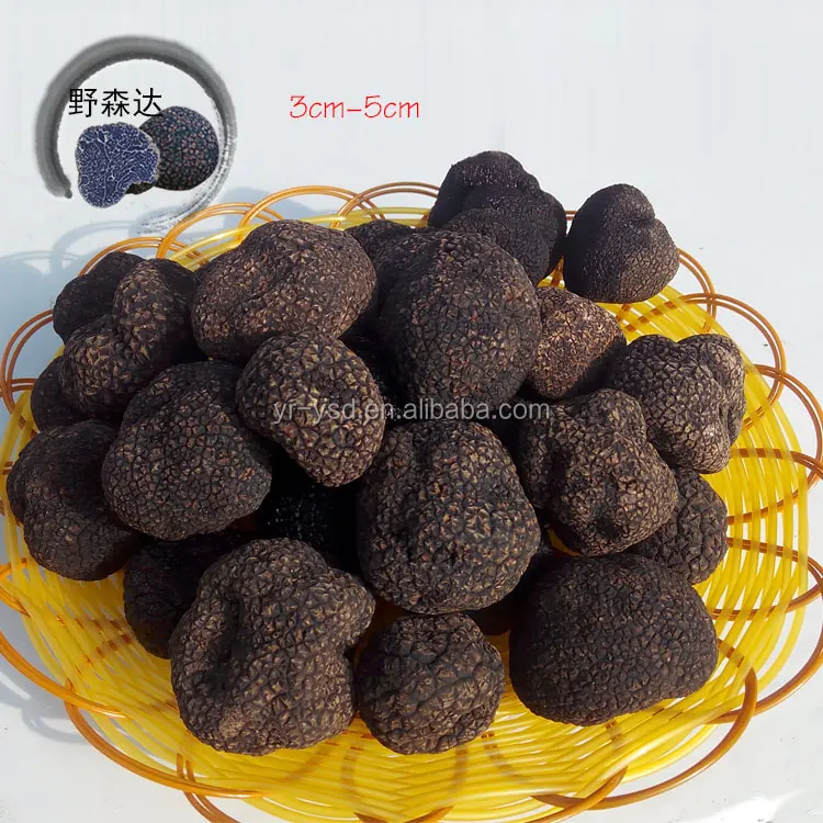 Supply Wild Mushroom New Crop Fresh Truffle, High Quality Fresh Truffle,Mushroom Truffles