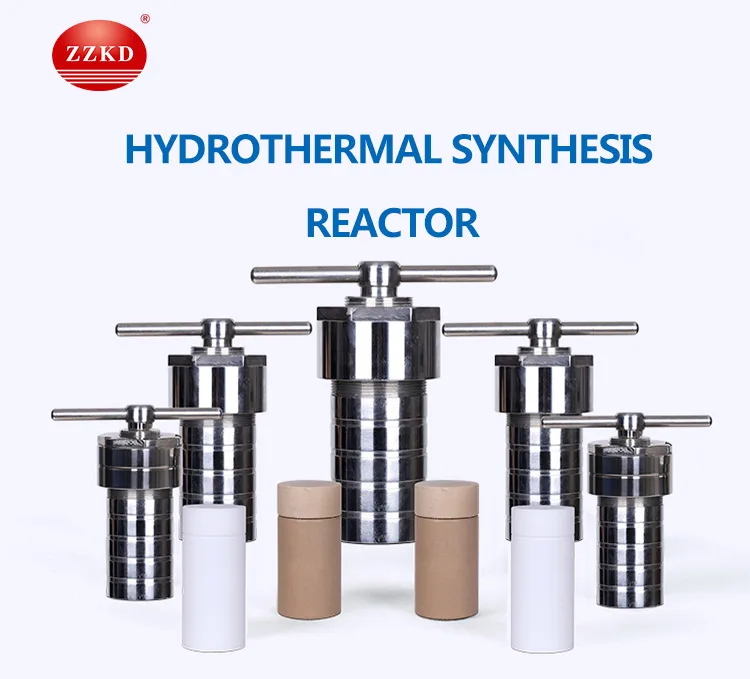 lab teflon lined hydrothermal autoclave