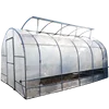 /product-detail/economic-pe-film-horticultural-single-tunnel-greenhouse-for-tomato-and-cucumber-60817773514.html