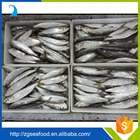 Nutritious Seafood Frozen QS Sardine Fish and sardines process canning