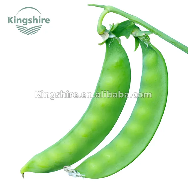 crescent-shaped sweet chinese snow pea pod seed