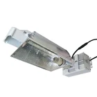 Grow light electronic ballast 250w 400w 600w ballast hydroponic