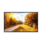 Tv Advertising Lcd Advertiser 43'' Slim Lcd Advertising Player TV