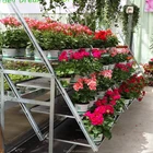 move tool cart popular hot seal Display Storage show Rack Portable Fruit flower plant nurseryies trolley