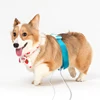 2019 Latest Model PET scanner&animal tester for DOG and CAT home use analyzer with English Software