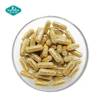 Supplement Time Release Multivitamin Mineral Capsule