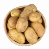 /product-detail/china-potato-seed-potatoes-import-and-export-60690401025.html