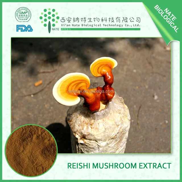 hot sell new products pure natural reishi mushroom extract 10%