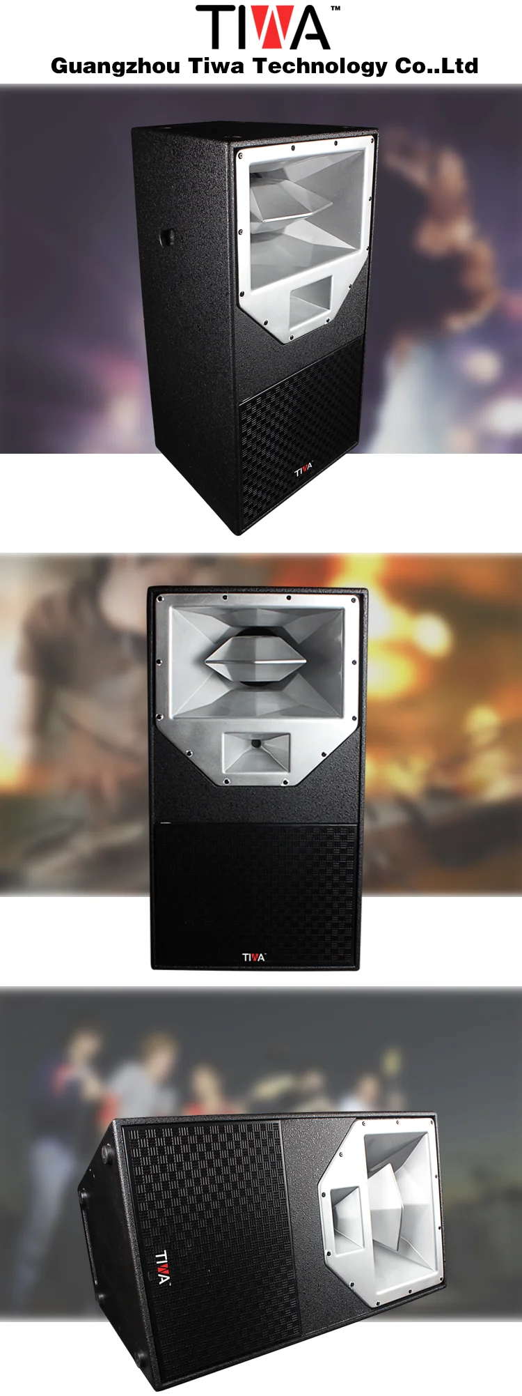 TIWA 15 inches Neodymium professional speaker 600 Watts - ANKUX.COM