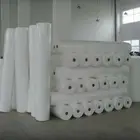 High quality virgin raw material pp nonwoven fabric