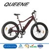 1000w 1500w big power fat tire electric bike/snow ebike/electric beach cruiser bicycle
