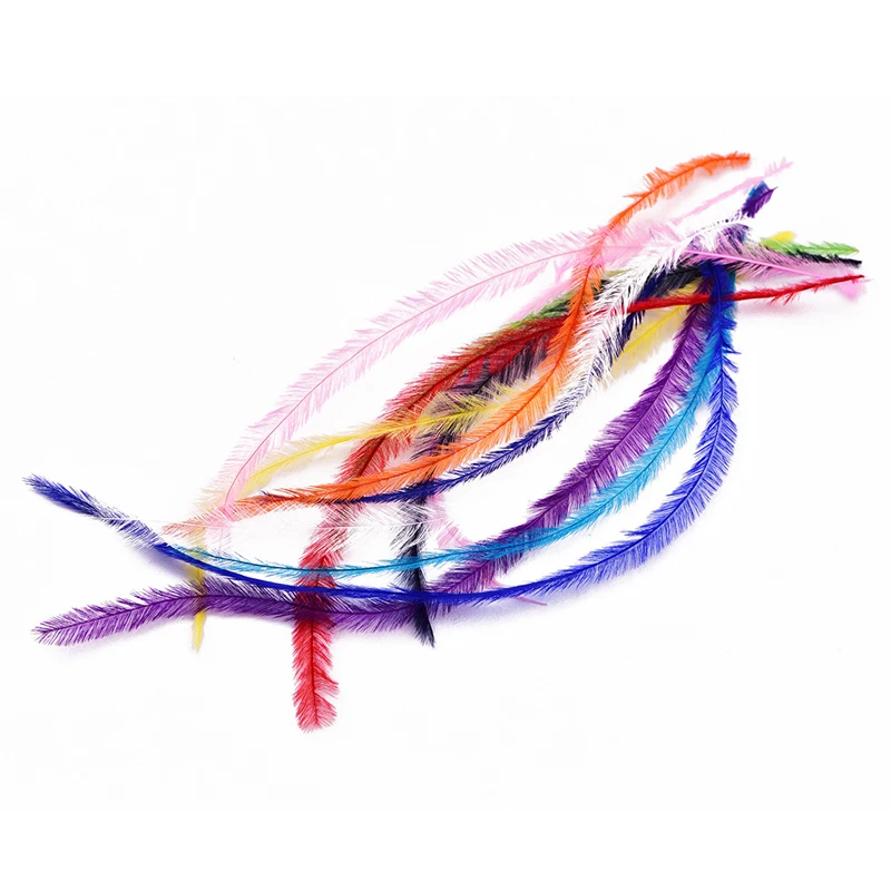 6304206249_212348735