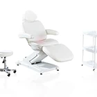 High Quality Luxury Salon Furniture Electric Beauty Facial Bed Massage Table Treatment Chair (HZ6057A)