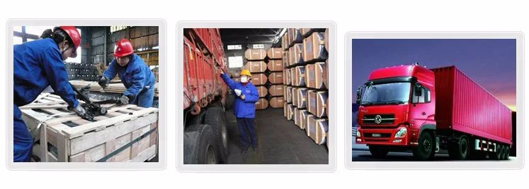 Packaging&Shipping-1.png
