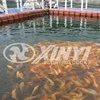 /product-detail/fish-cage-floating-60767197202.html