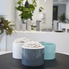 Lids Lid Jar Design Multiple Used Home Decor Ornamental Kitchen Ware Hotels Restaurant Used Ceramic Honey Jars With Lids
