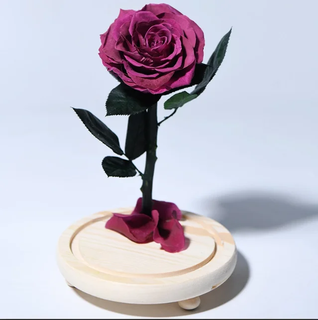 Последние От 3 до 5 лет реальные натуральные 7-8 см фиолетовые цвета вечность сохранились розы в стекле