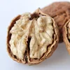 Suppliers Wholesale Organic Raw Walnuts in Shell or Walnut Kernels Price