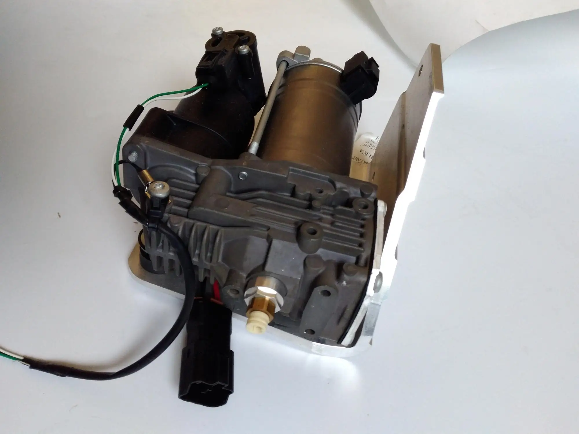 LR045251 (2)